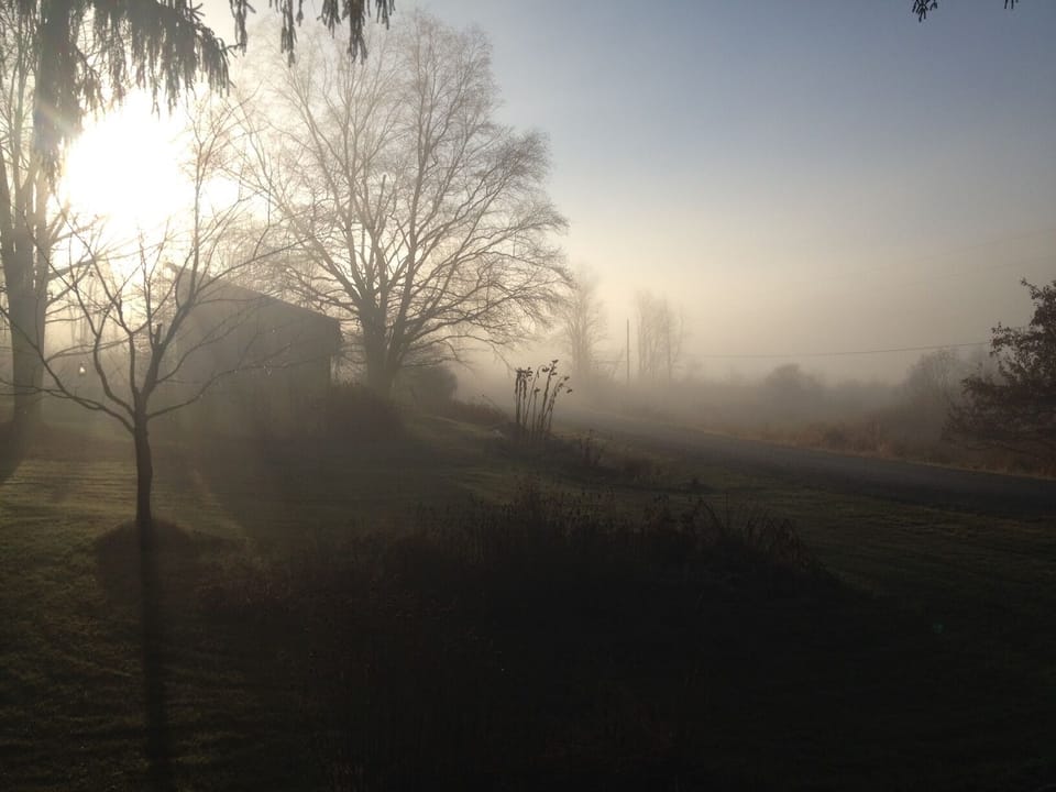 Misty autumn morning from eat sitting room