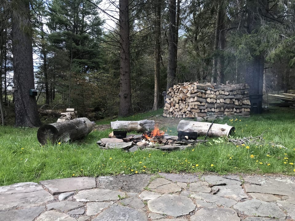 Fire pit and wood to burn 🔥