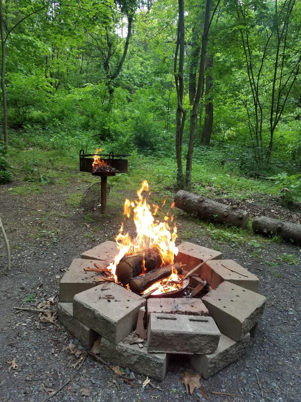 campfire
