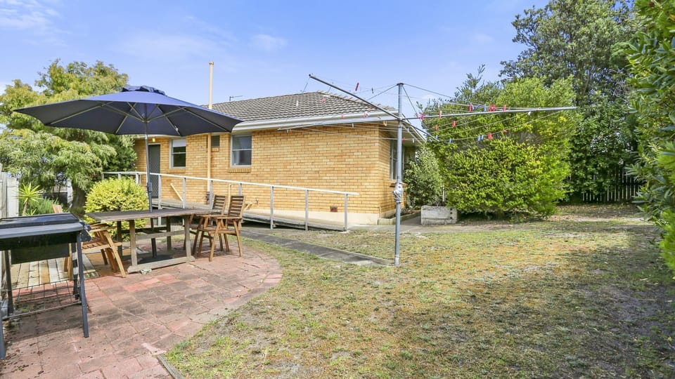 Outdoor dining / Backyard 