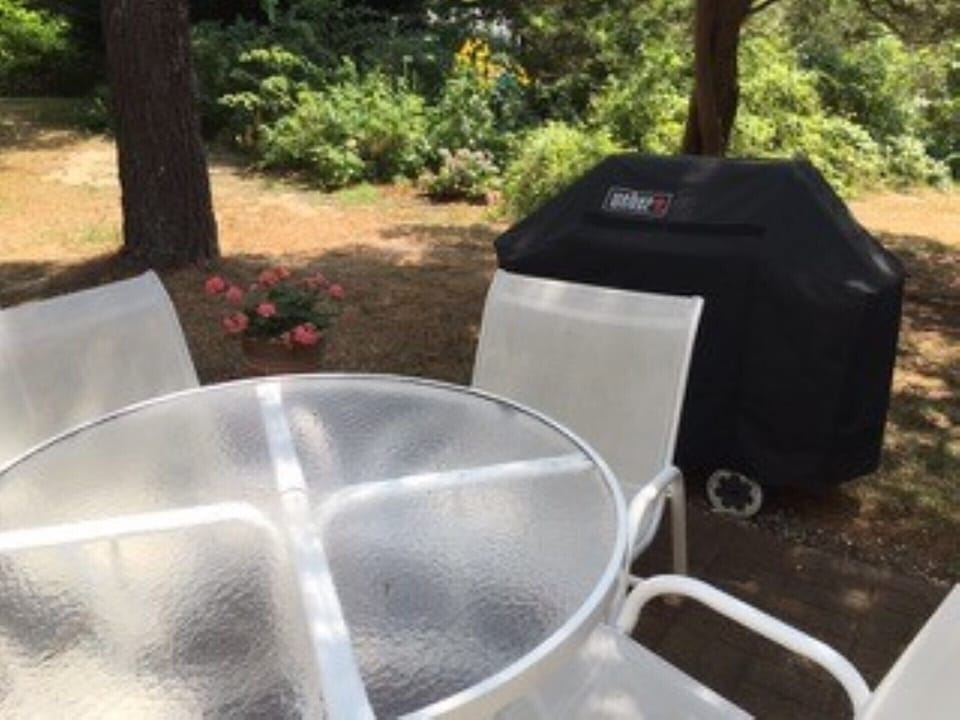 Each cottage has its own gas grill and picnic area.