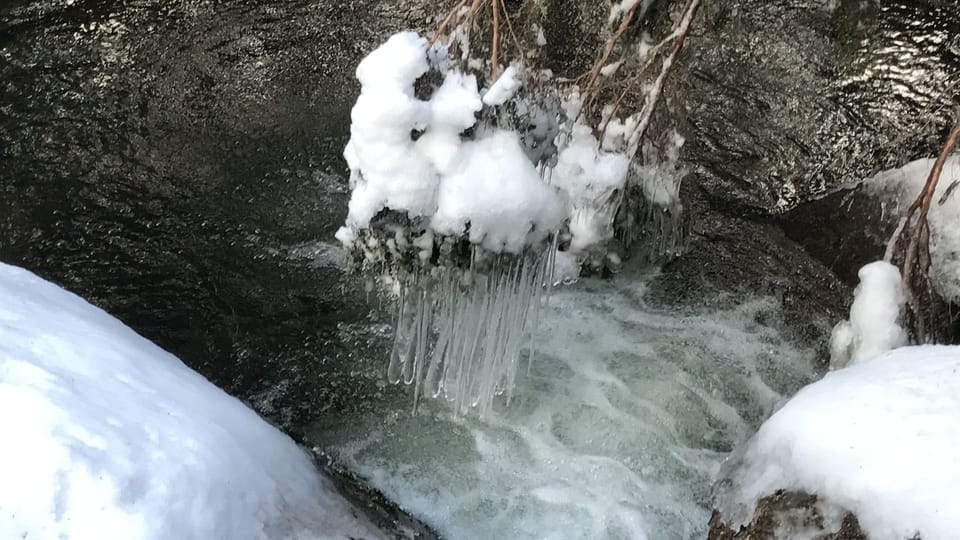 Rock pool chandelier