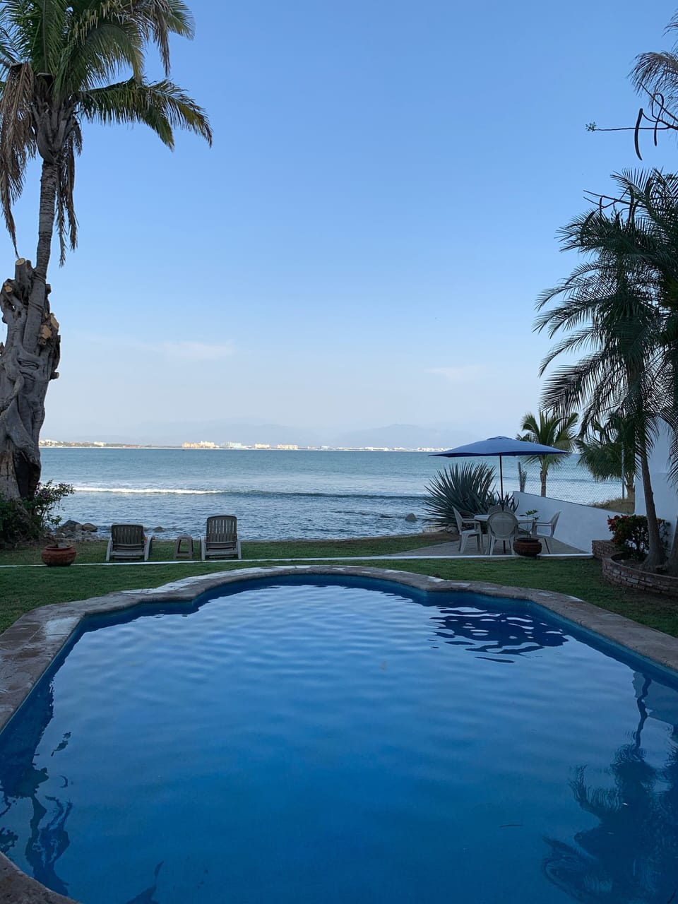 View from the Living Room