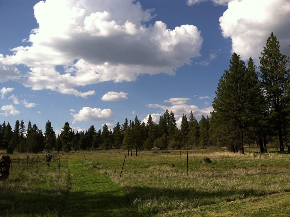 View of the back pasture