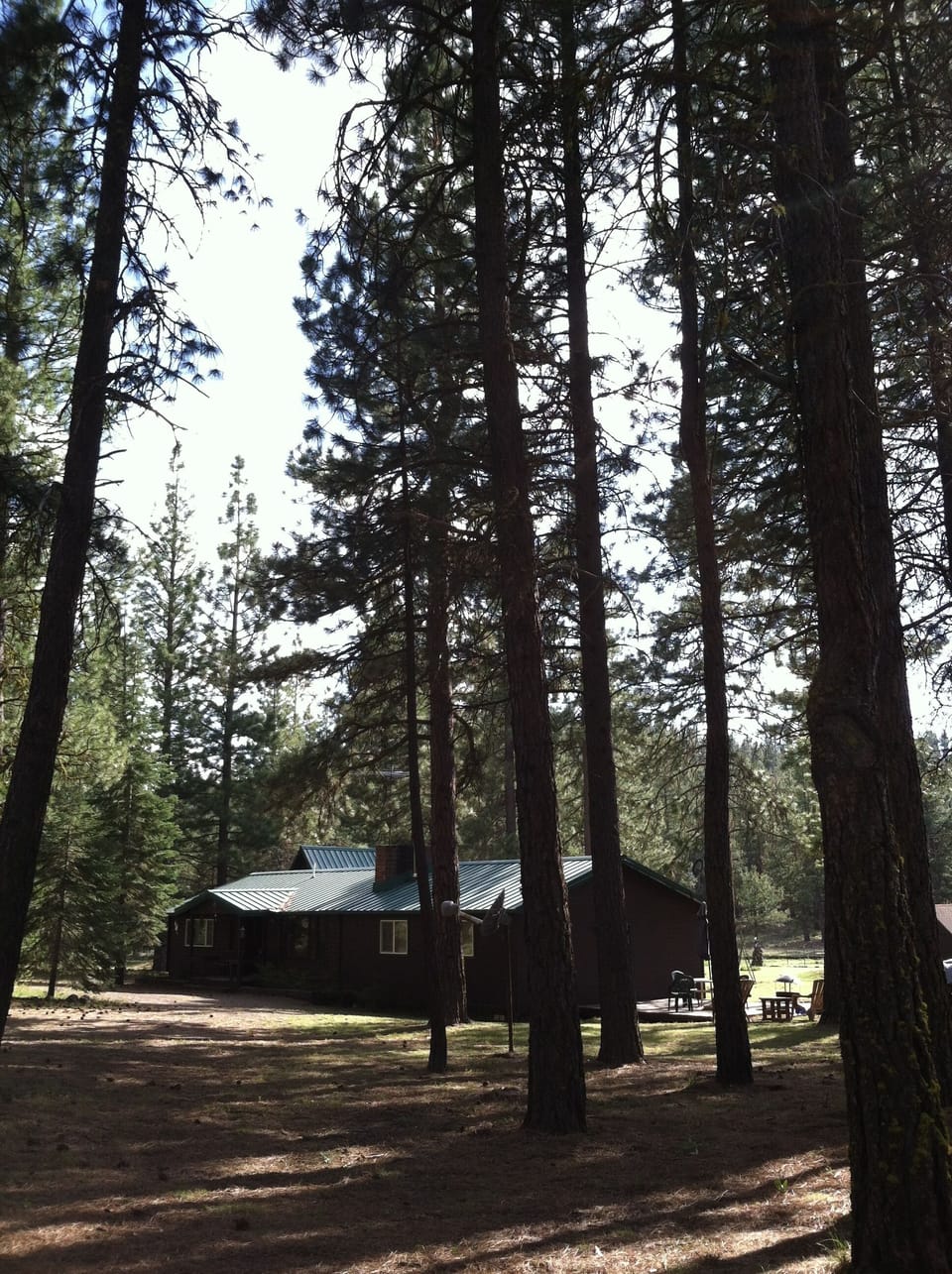 Nestled in the Ponderosa Pines