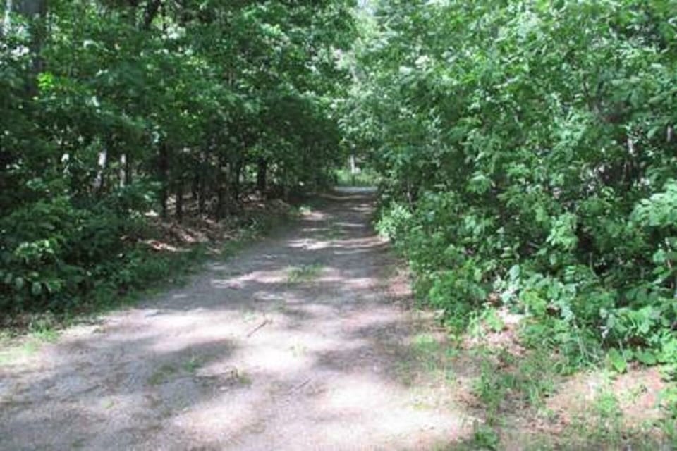 Parking dirt/stone driveway
