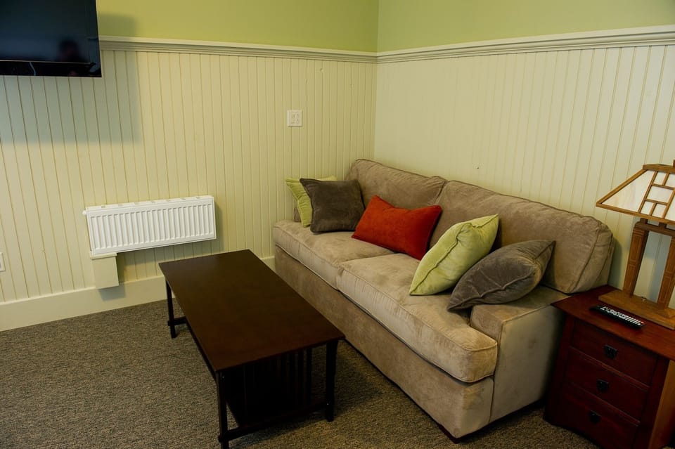Large area to relax in guest room, with queen pull out sofa bed.