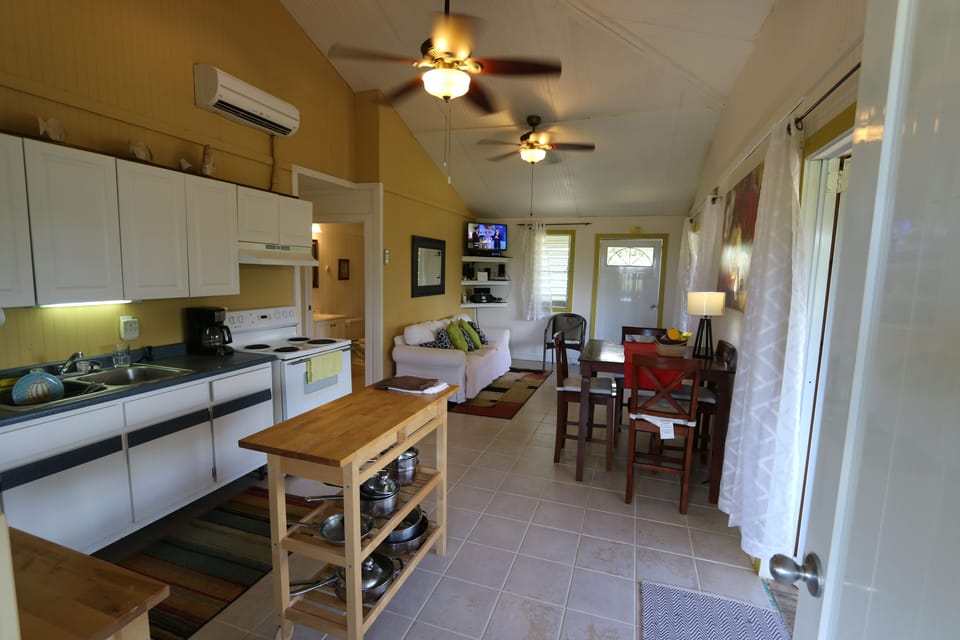 Full size kitchen/Living room