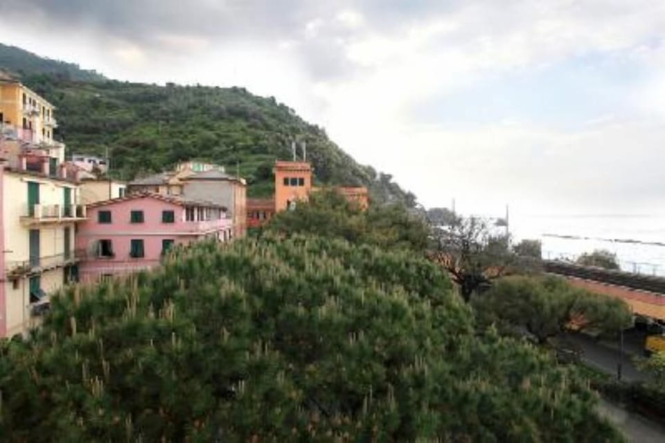 Terrace / Balcony