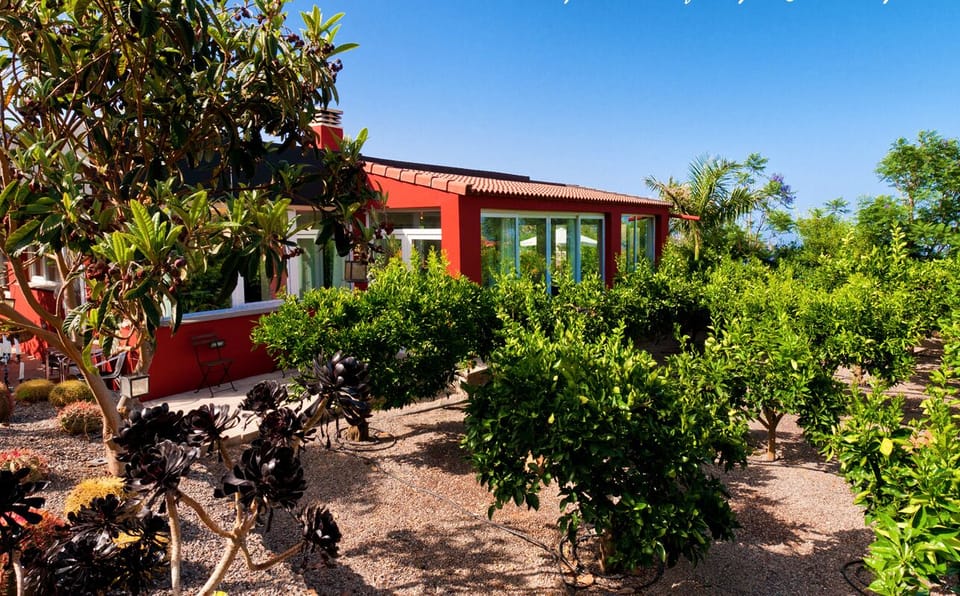 Garden view villa