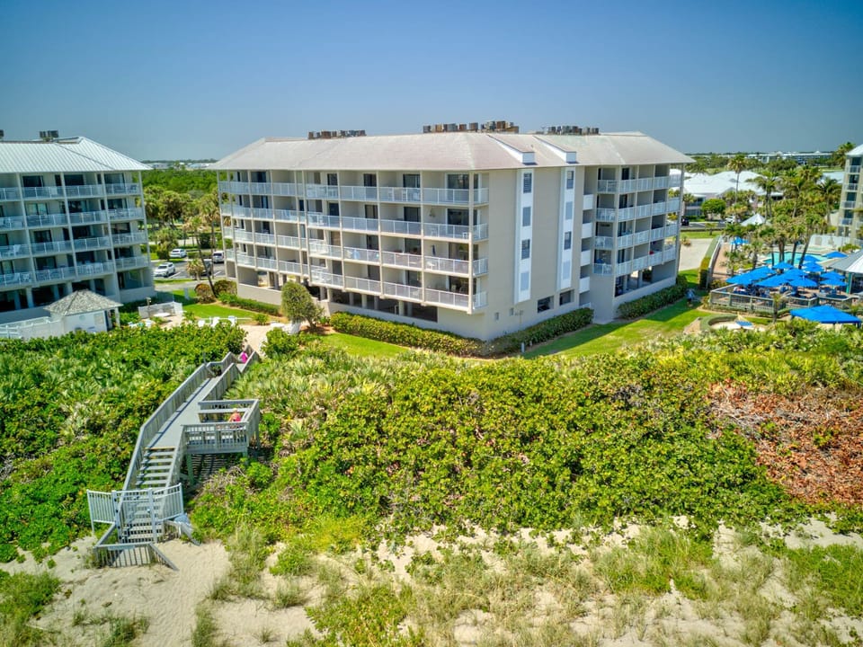 Ariel view beach side.