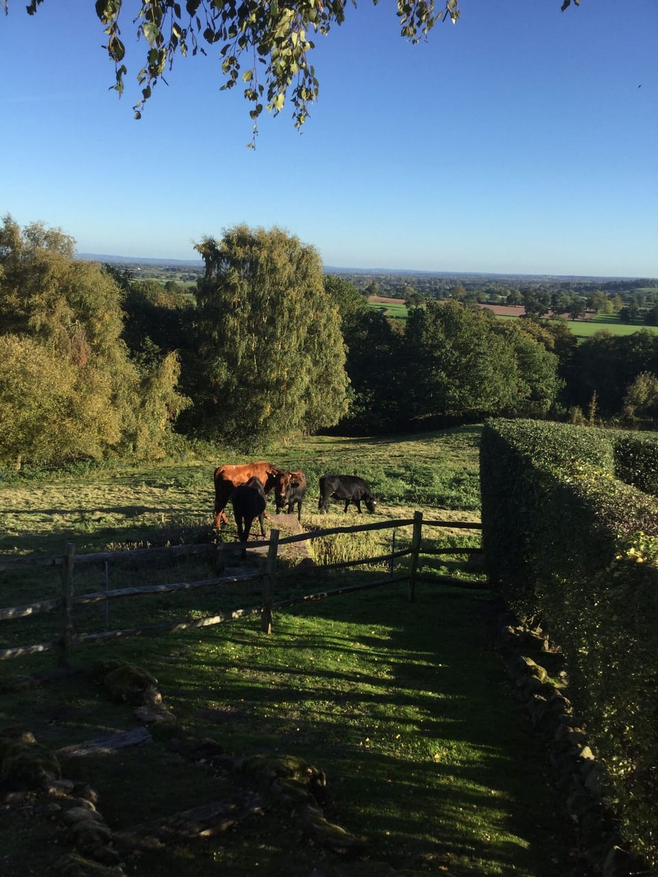 Countryside