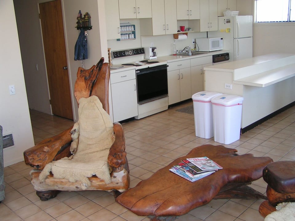 Redwood Chair and Table