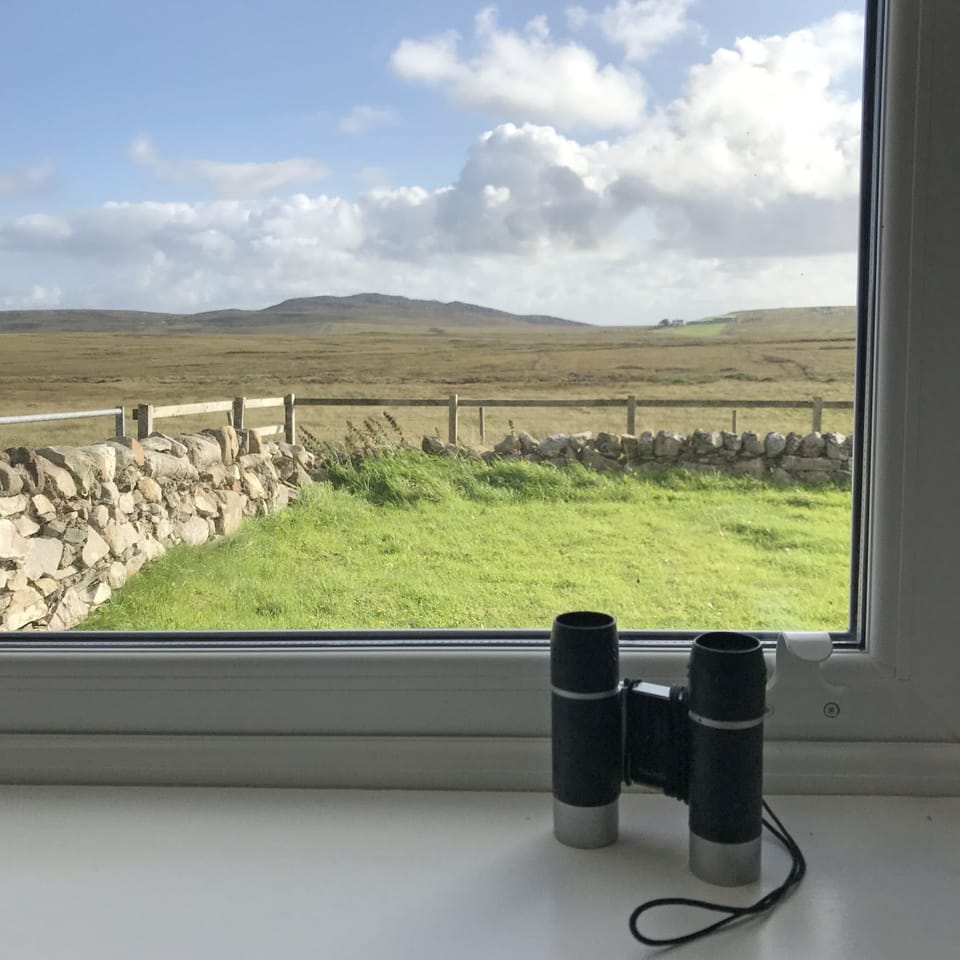 View from Sitting Room