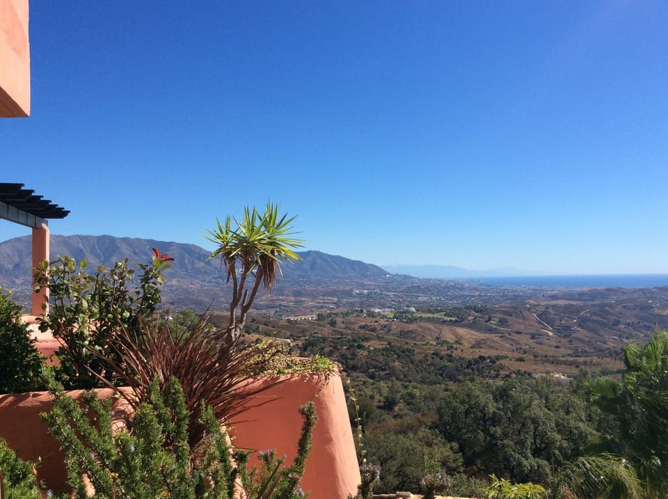 View from terrace