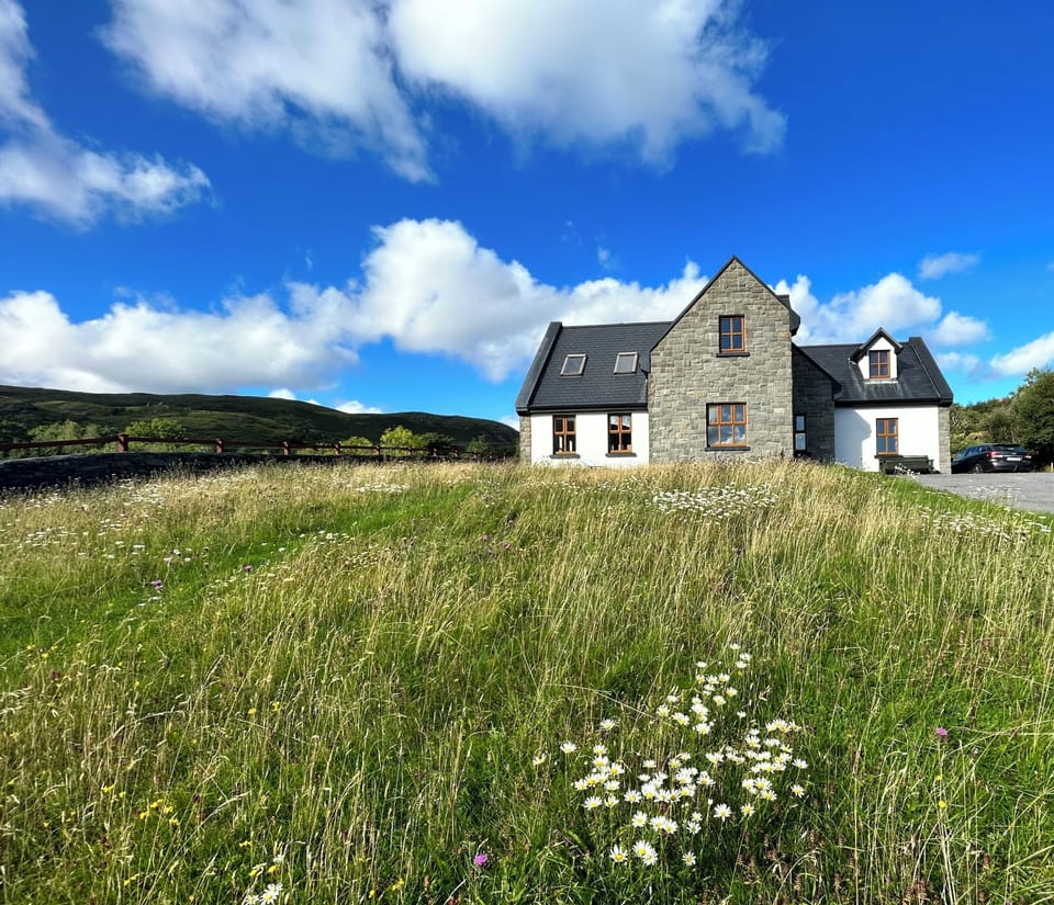 Encouraging biodiversity in our garden.