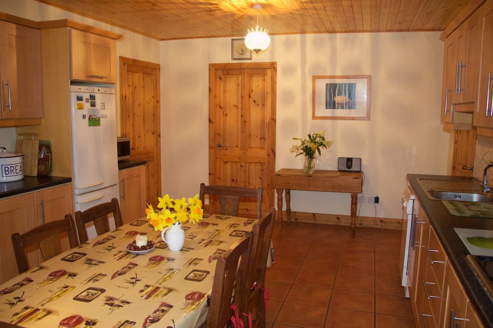 Another view of the kitchen with Dali print.