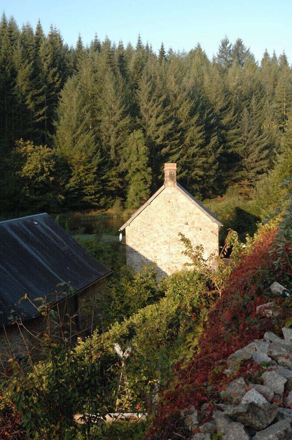 The Mill house