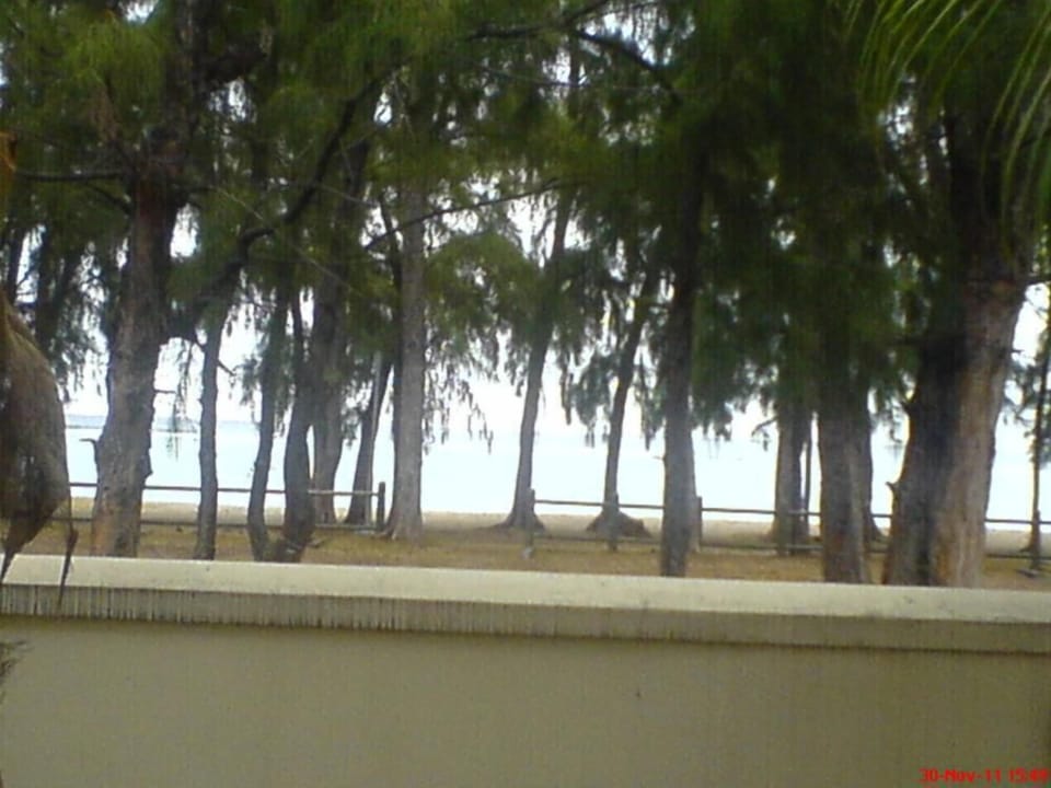 Beach view