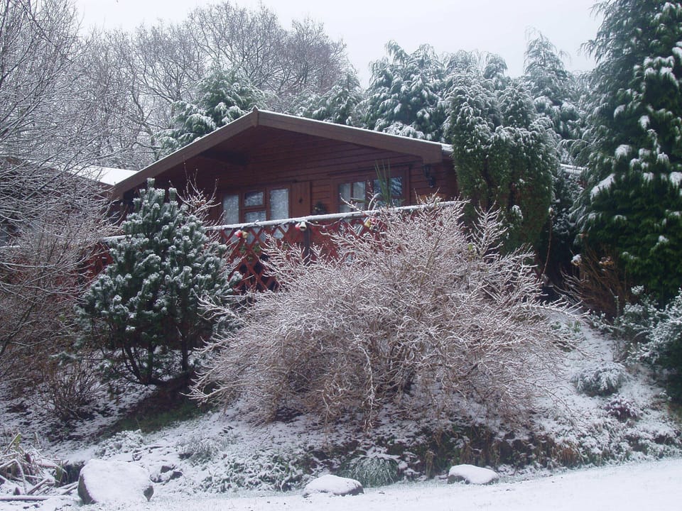 Christmas scene