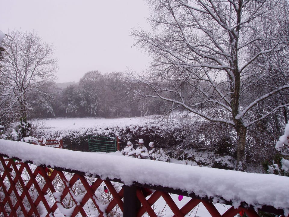 View from lodge