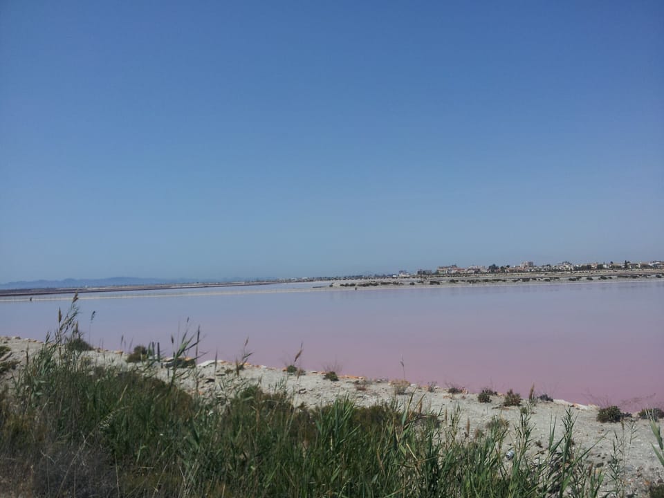 Salt Lakes with flamingo's 300 metres