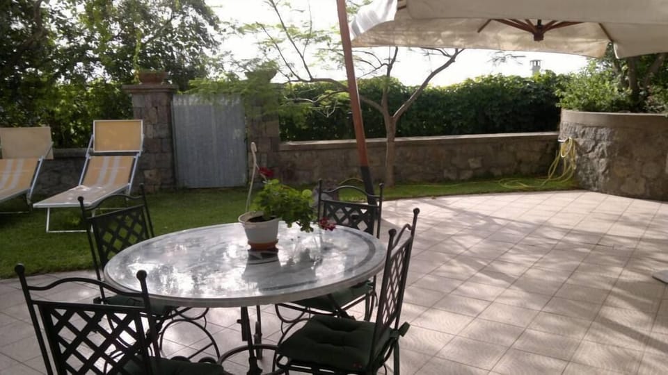 Garden, Park