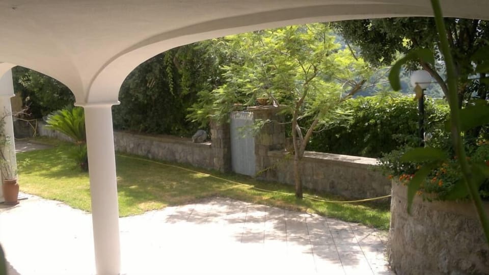Garden, Park