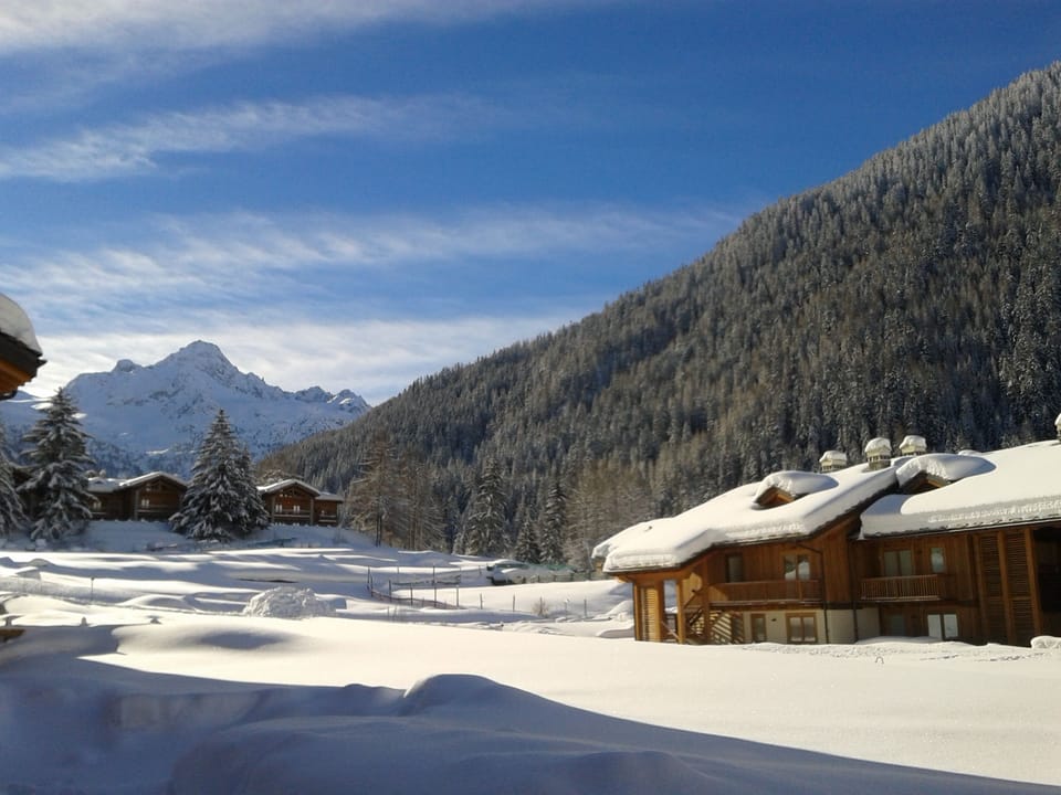 Panorama - Winter