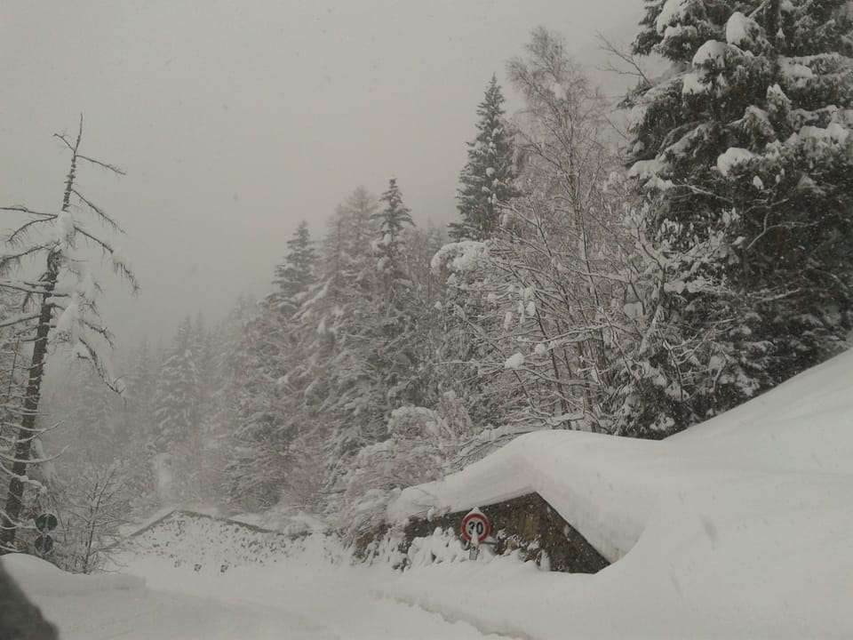 under the snow
