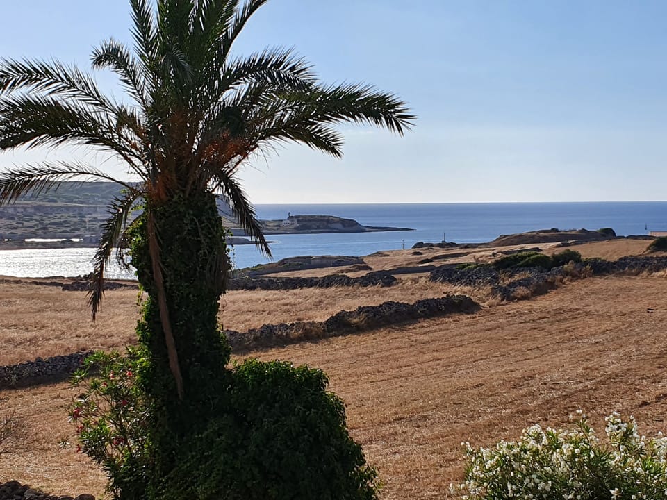 Sea views from the terrace