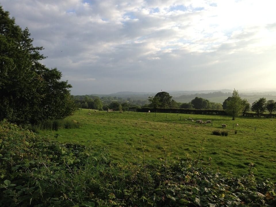 View over the valley from local pub (Wynards Gap)