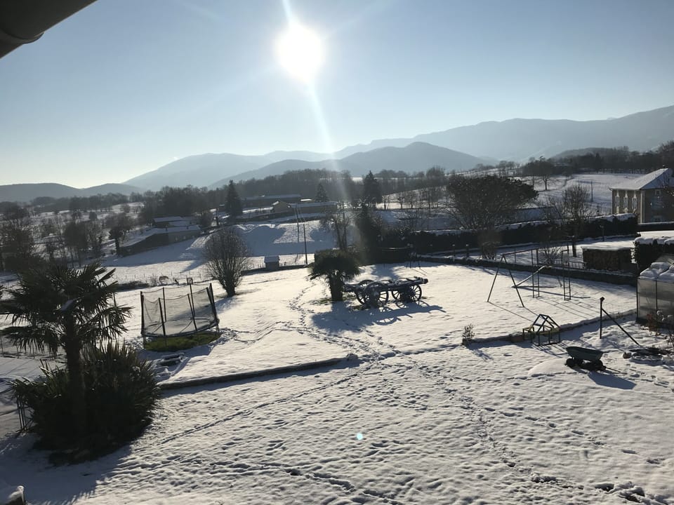 The garden in Winter