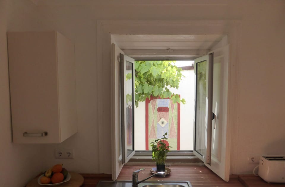 Kitchen Window with draping Vine