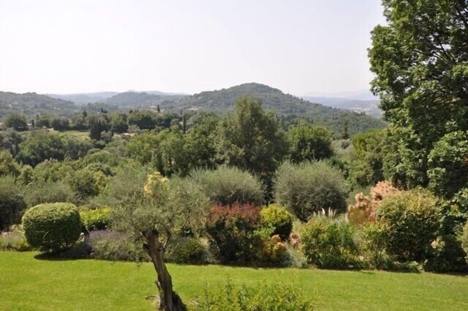 View from terrace