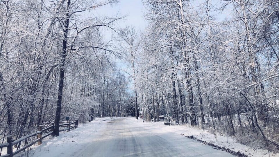 Winter Season at Moonlight Magic.