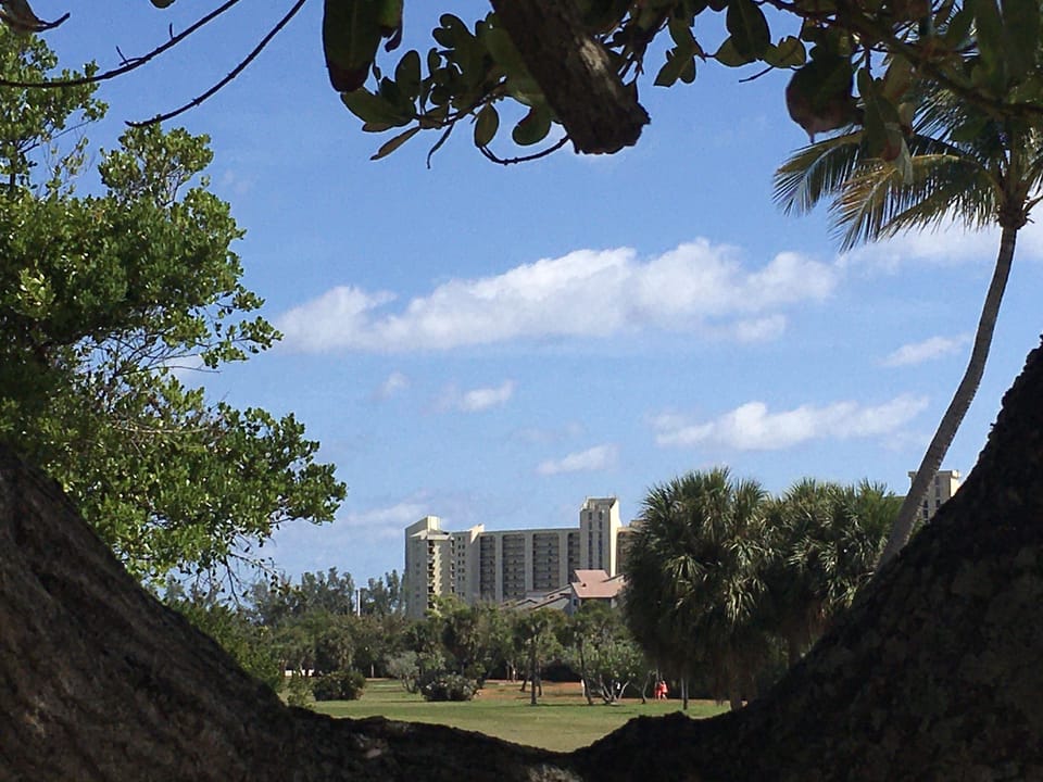 View from Heart Trail, behind Building B in Jupiter Bay East.
