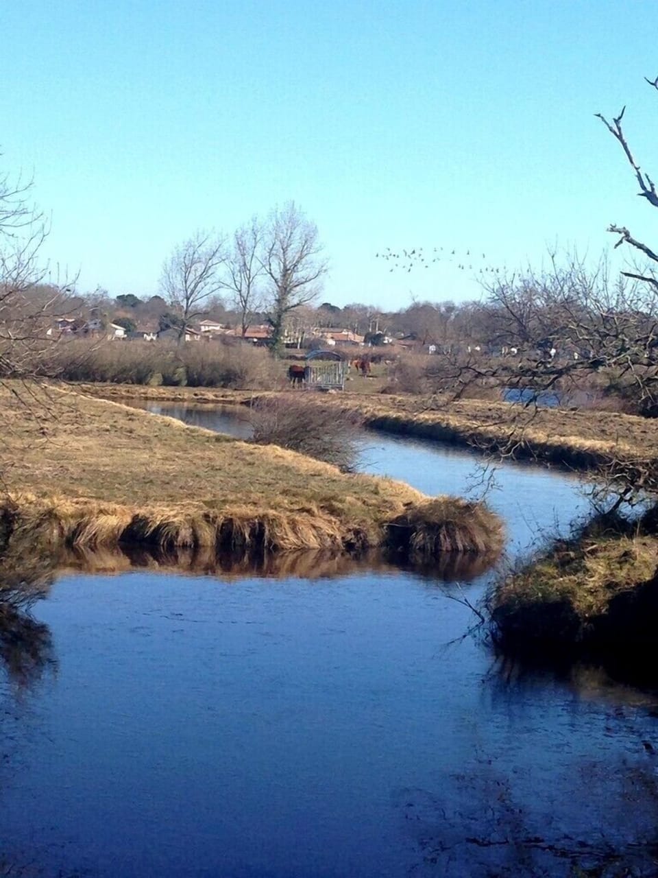 Lake