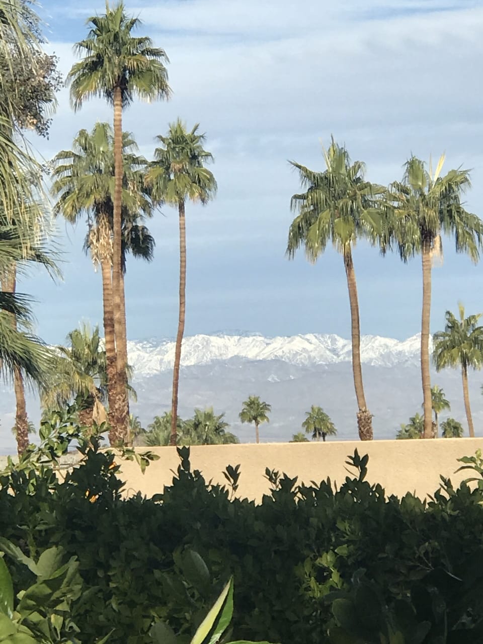 View from property