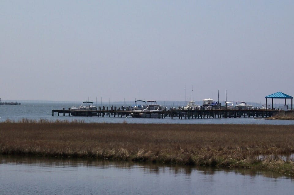 Marina