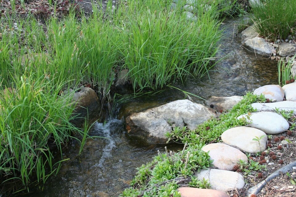 Pink Elephant Cottage is in a park like setting.

