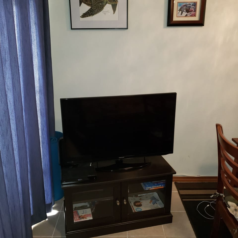 Smart television and blue ray cd player and room darkening drapes.