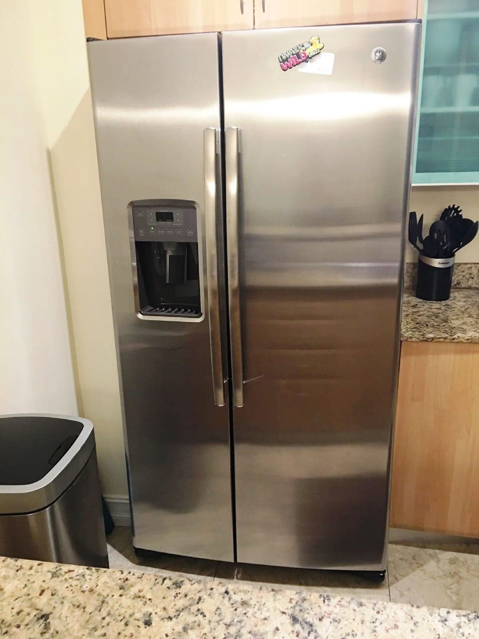 Brand New Refrigerator (purchased June 2016)