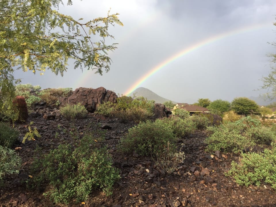 It doesn't rain much, but when it does, it's amazing.