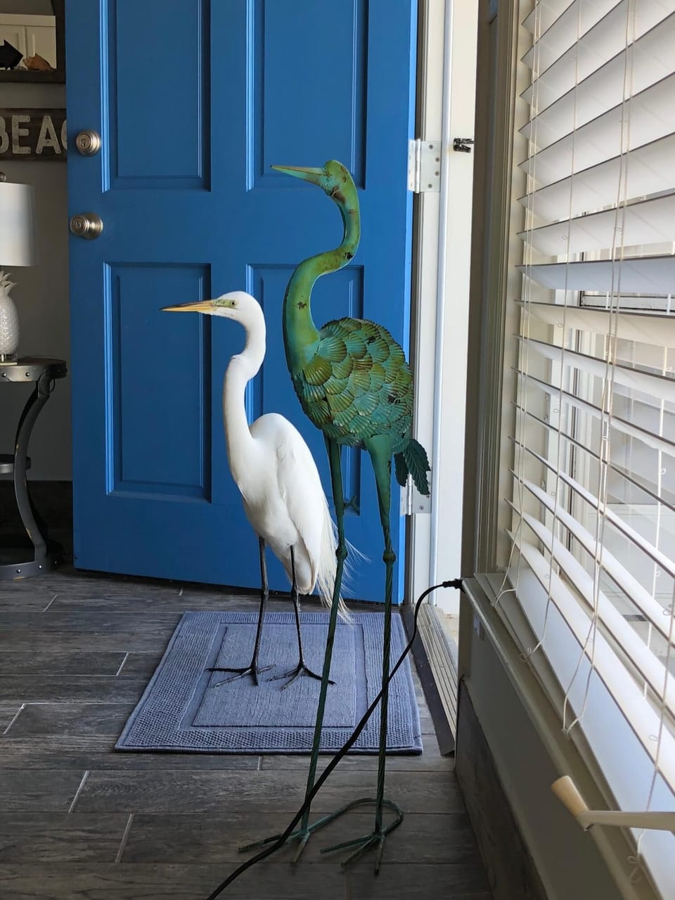 A number of beautiful, feathered friends live at BH, and, yes, can pay a visit.