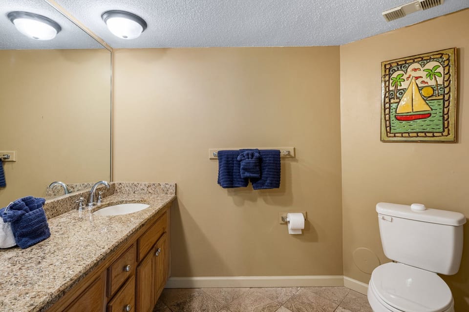 1st Master Suit full bathroom with shower 