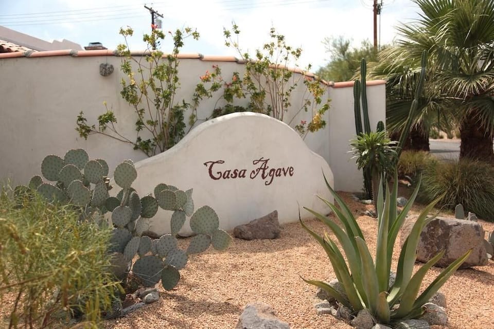 Corner lot offers a great space to show off our namesake complete with Agave