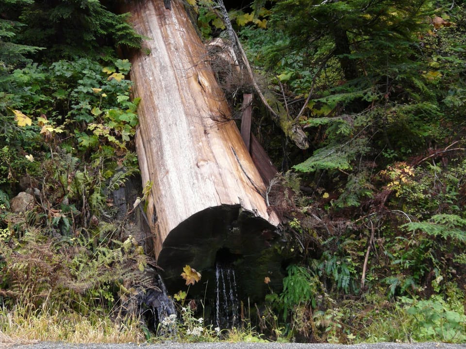 Nature at it's finest