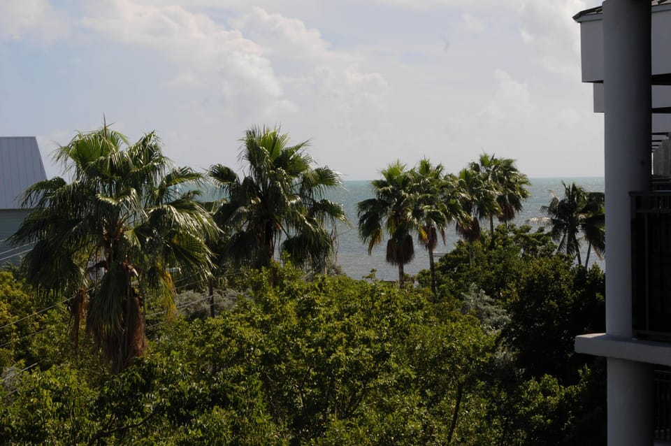 View from Master Balcony