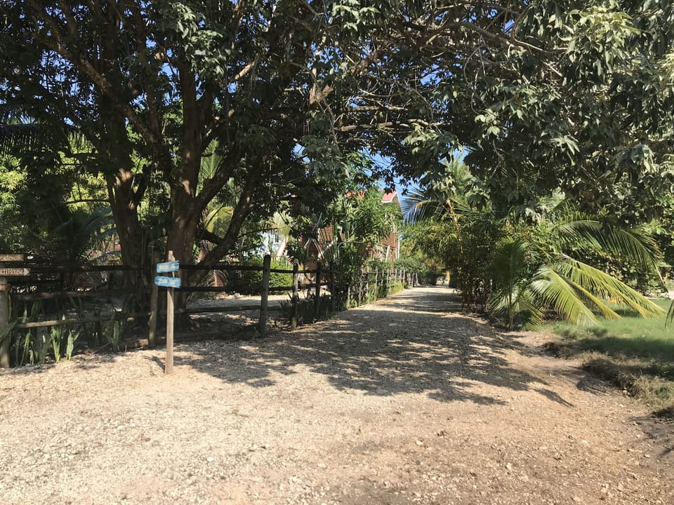 Our private road with parking.